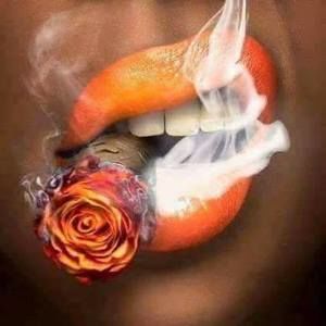 Meet your Posher, Tasha